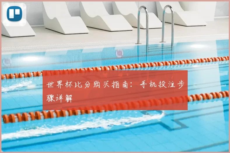 世界杯比分购买指南：手机投注步骤详解