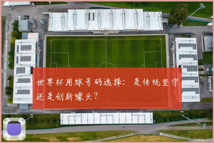 世界杯用球号码选择:是传统坚守还是创新噱头?