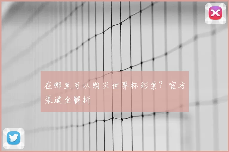 在哪里可以购买世界杯彩票？官方渠道全解析