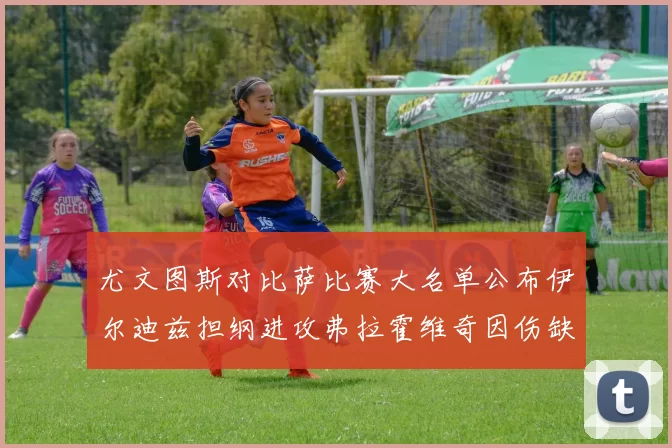 尤文图斯对比萨比赛大名单公布伊尔迪兹担纲进攻弗拉霍维奇因伤缺席
