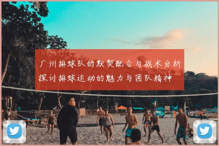 广州排球队的默契配合与战术分析探讨排球运动的魅力与团队精神