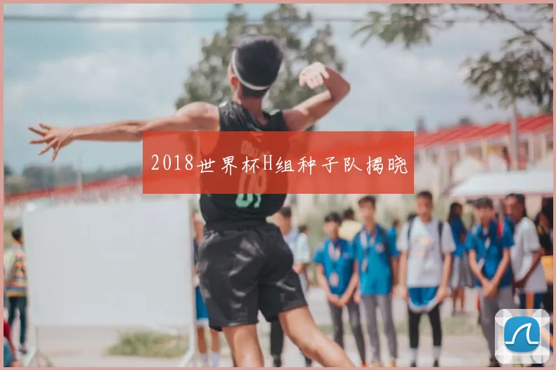 2018世界杯H组种子队揭晓