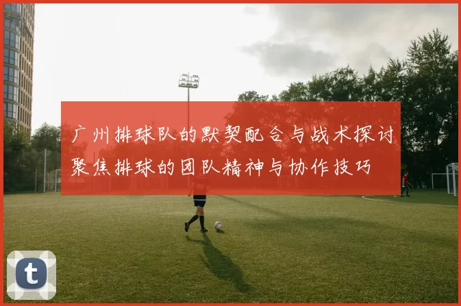 广州排球队的默契配合与战术探讨聚焦排球的团队精神与协作技巧