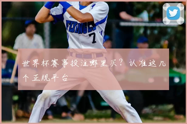 世界杯赛事投注哪里买?认准这几个正规平台