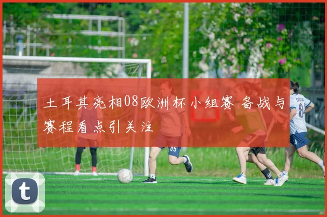 土耳其亮相08欧洲杯小组赛 备战与赛程看点引关注