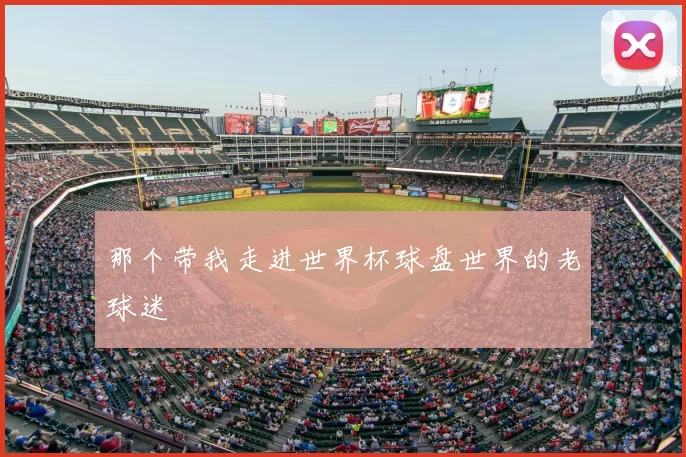 那个带我走进世界杯球盘世界的老球迷