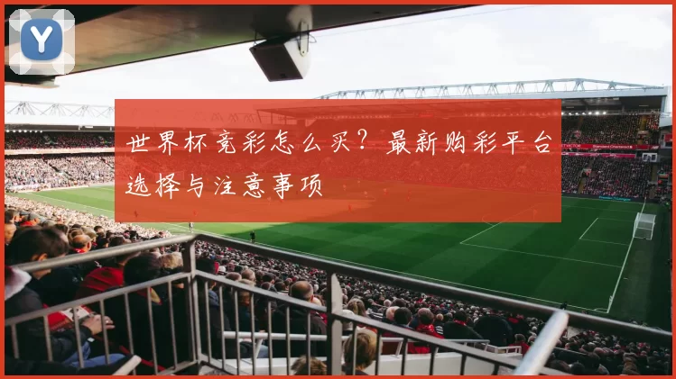 世界杯竞彩怎么买?最新购彩平台选择与注意事项