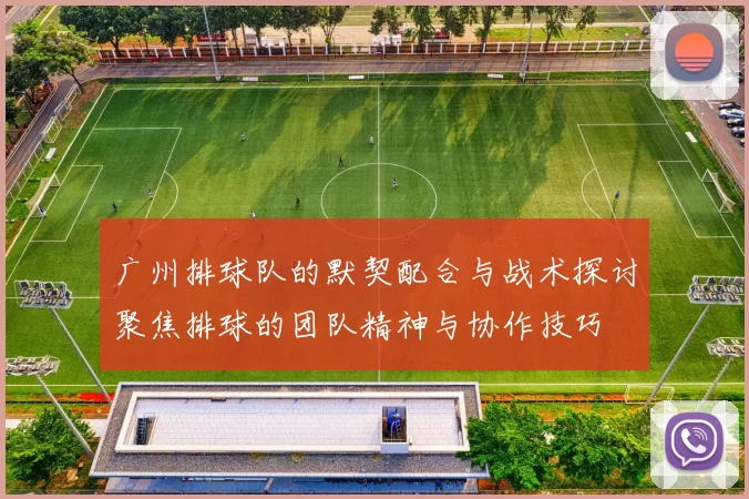 广州排球队的默契配合与战术探讨聚焦排球的团队精神与协作技巧
