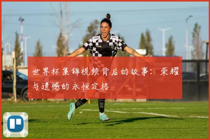 世界杯集锦视频背后的故事:荣耀与遗憾的永恒定格