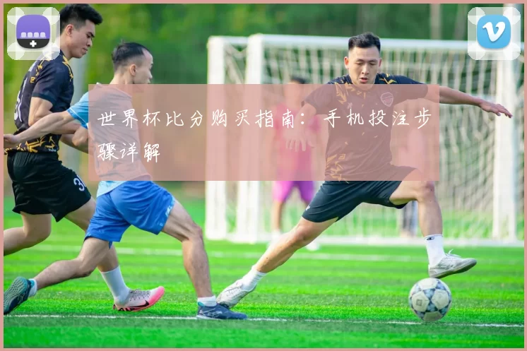 世界杯比分购买指南：手机投注步骤详解