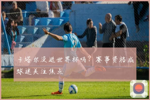 卡塔尔没进世界杯吗?赛事资格成球迷关注焦点