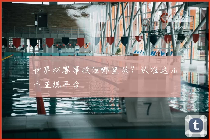 世界杯赛事投注哪里买?认准这几个正规平台