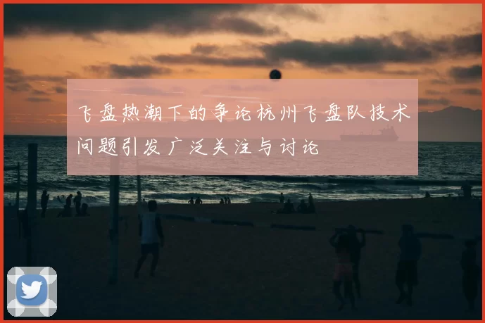 飞盘热潮下的争论杭州飞盘队技术问题引发广泛关注与讨论