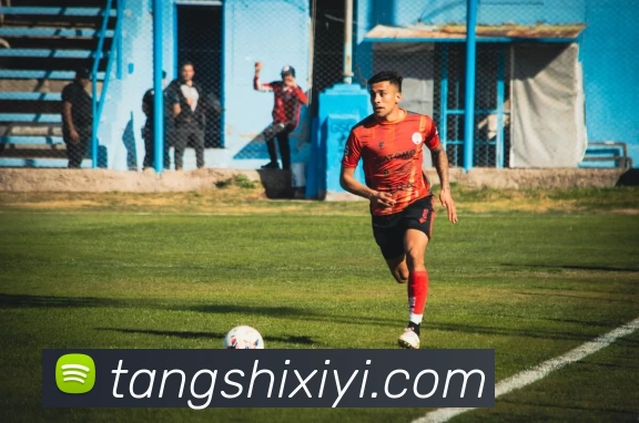 米兰平台生态图